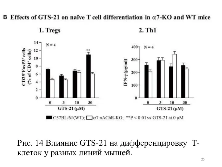 Рис. 14 Влияние GTS-21 на дифференцировку Т-клеток у разных линий мышей.