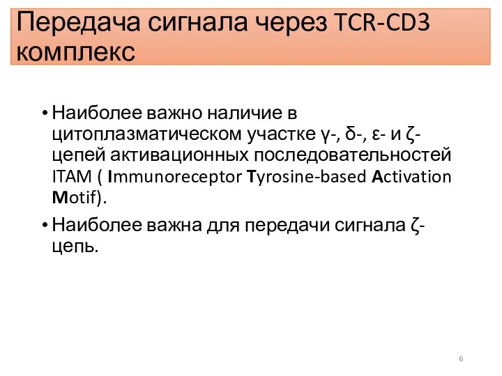 Передача сигнала через TCR-CD3 комплекс Наиболее важно наличие в цитоплазматическом участке