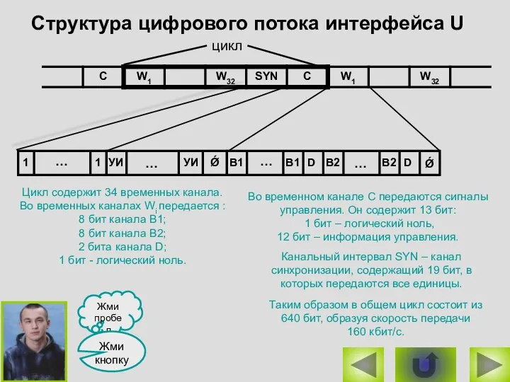 Структура цифрового потока интерфейса U Цикл содержит 34 временных канала. Во