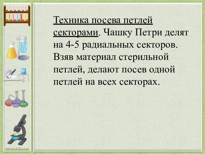 Техника посева петлей секторами. Чашку Петри делят на 4-5 радиальных секторов.