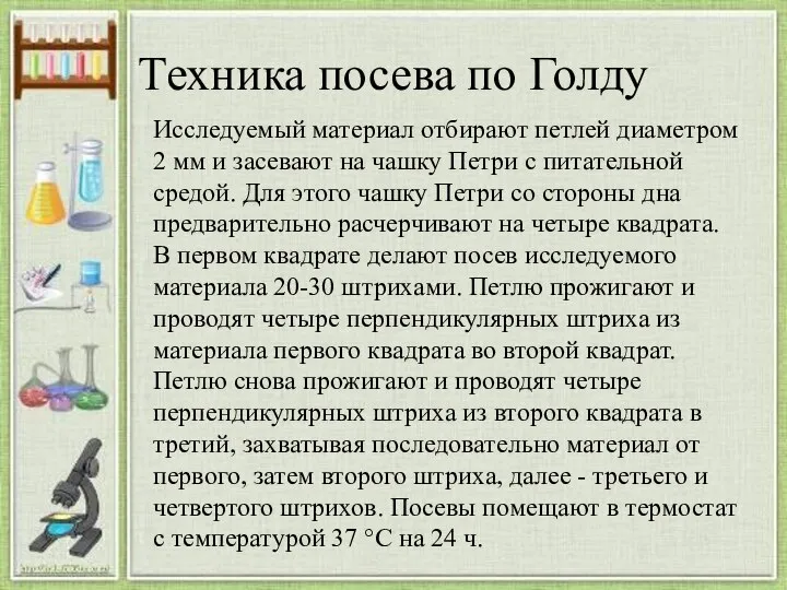 Техника посева по Голду Исследуемый материал отбирают петлей диаметром 2 мм