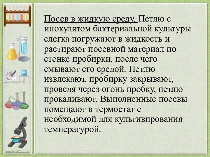 Посев в жидкую среду. Петлю с инокулятом бактериальной культуры слегка погружают