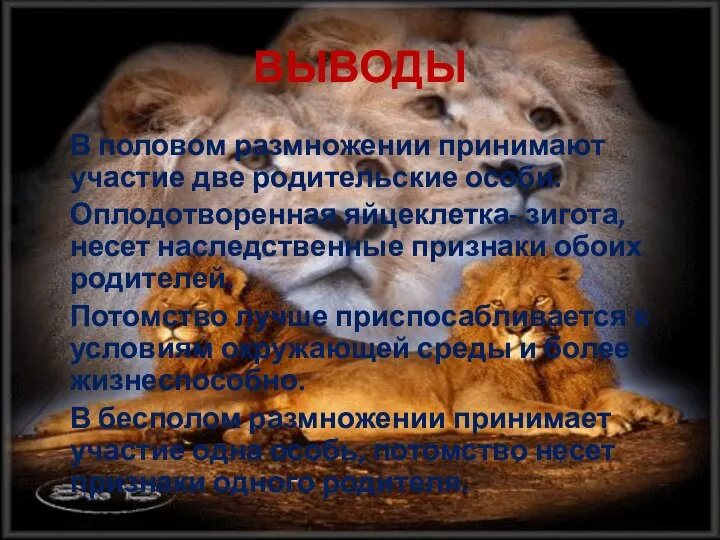 ВЫВОДЫ В половом размножении принимают участие две родительские особи. Оплодотворенная яйцеклетка-