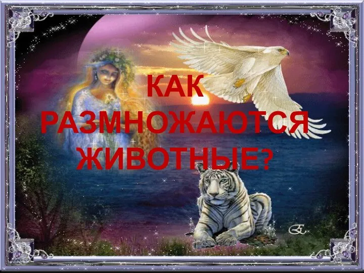 КАК РАЗМНОЖАЮТСЯ ЖИВОТНЫЕ?