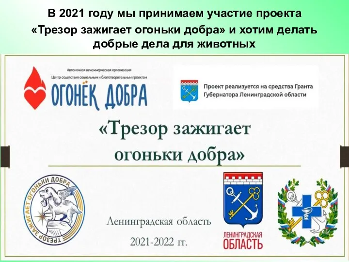 В 2021 году мы принимаем участие проекта «Трезор зажигает огоньки добра»