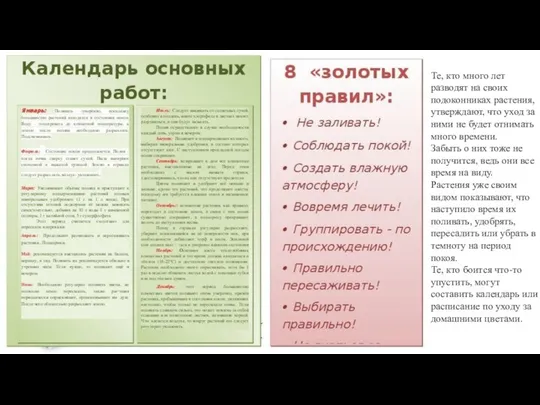 Те, кто много лет разводят на своих подоконниках растения, утверждают, что