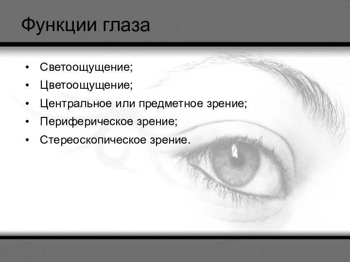Функции глаза Светоощущение; Цветоощущение; Центральное или предметное зрение; Периферическое зрение; Стереоскопическое зрение.