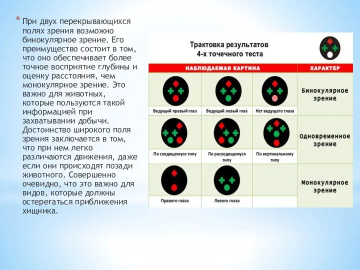 При двух перекрывающихся полях зрения возможно бинокулярное зрение. Его преимущество состоит