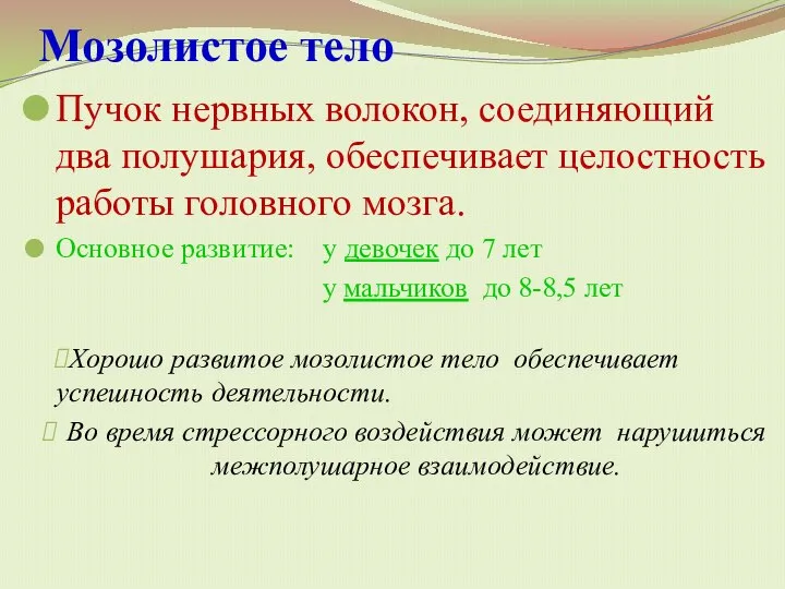 Мозолистое тело Пучок нервных волокон, соединяющий два полушария, обеспечивает целостность работы