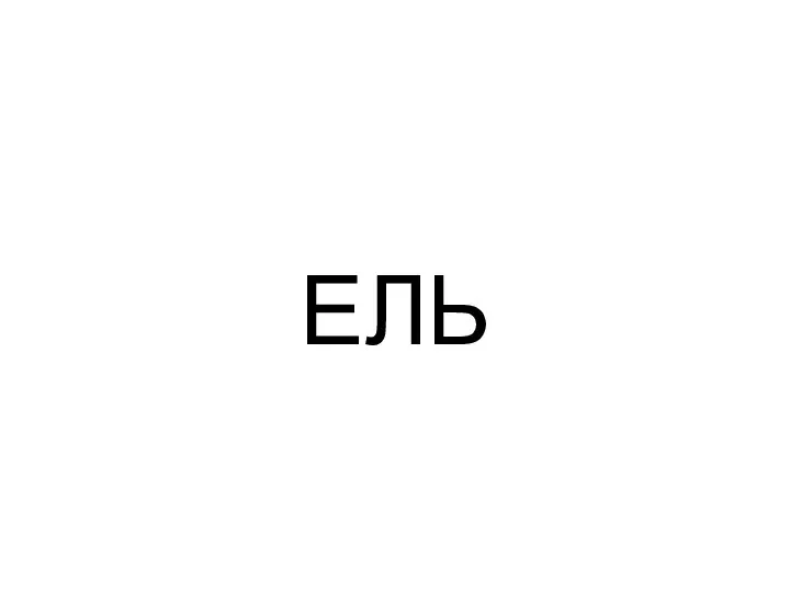 ЕЛЬ