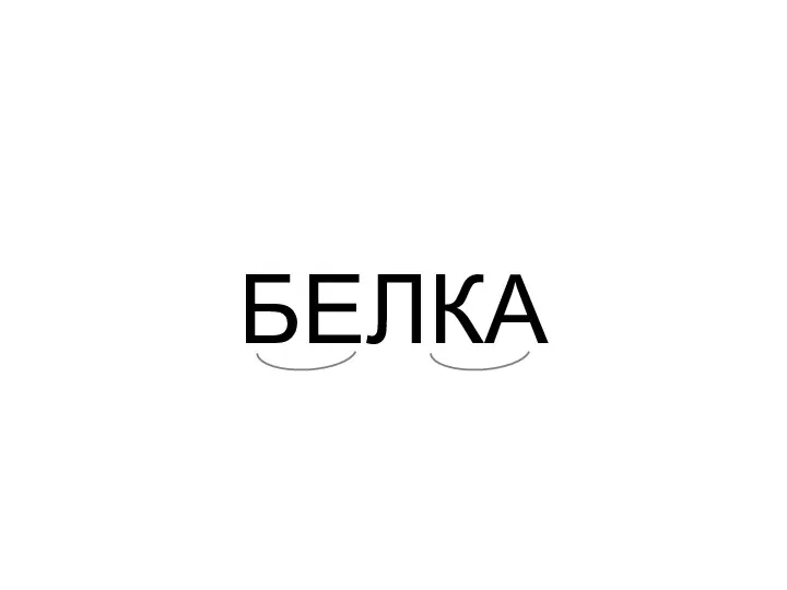 БЕЛКА