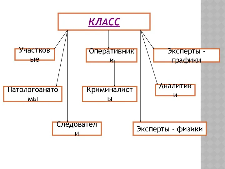 КЛАСС Участковые Криминалисты Оперативники Эксперты - физики Следователи Эксперты - графики Аналитики Патологоанатомы