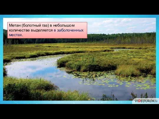 Метан (болотный газ) в небольшом количестве выделяется в заболоченных местах.