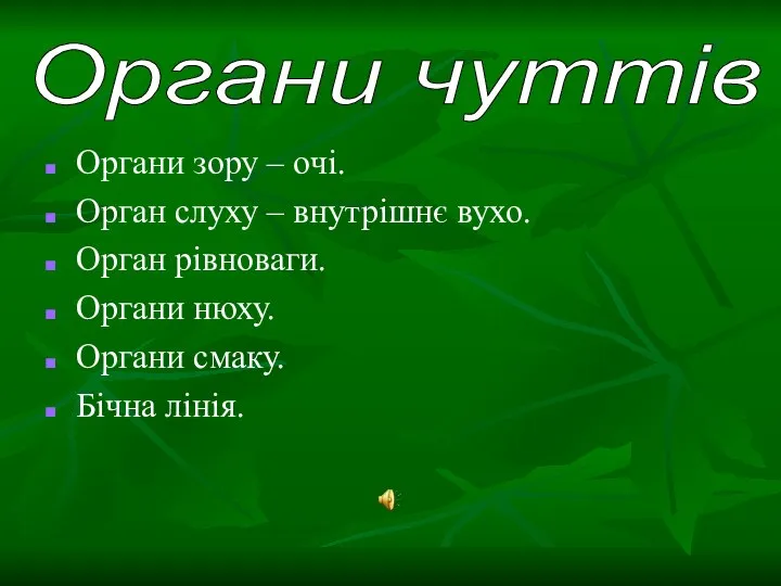 Органи зору – очі. Орган слуху – внутрішнє вухо. Орган рівноваги.