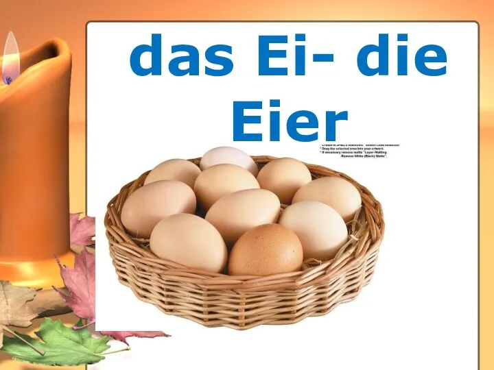 das Ei- die Eier