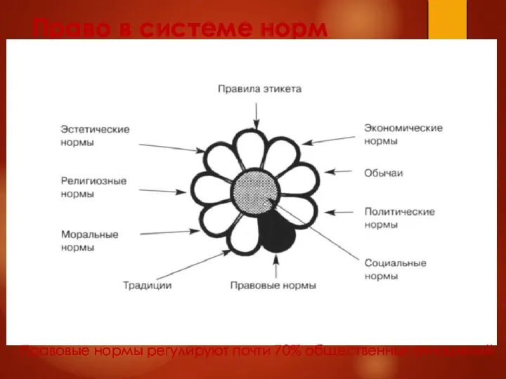 Право в системе норм Правовые нормы регулируют почти 70% общественных отношений