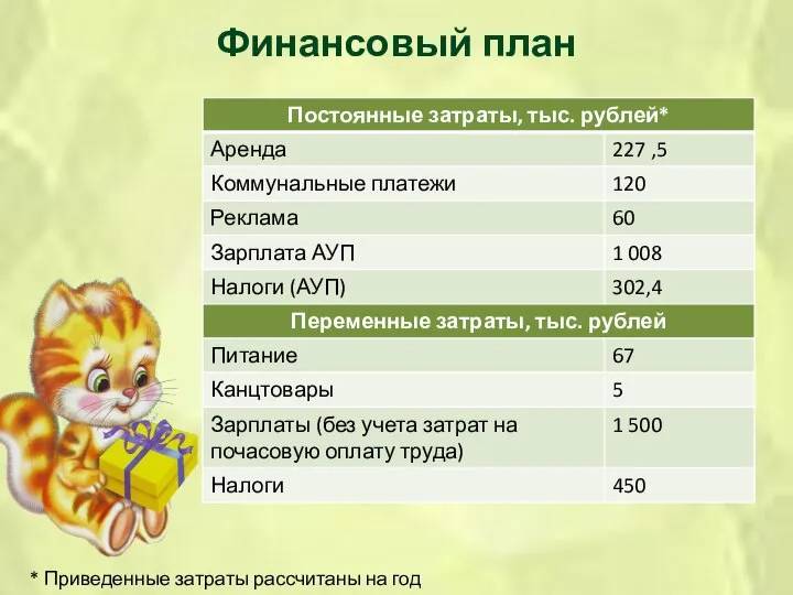 Финансовый план * Приведенные затраты рассчитаны на год