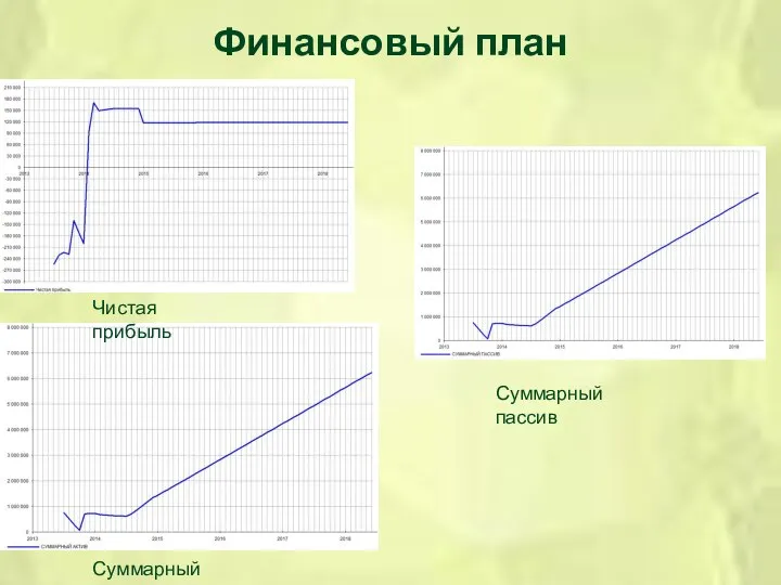 Финансовый план Суммарный актив Чистая прибыль Суммарный пассив