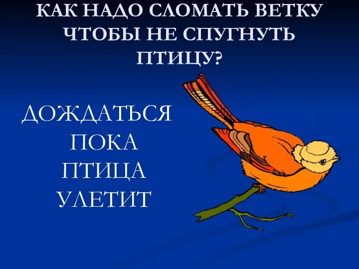 КАК НАДО СЛОМАТЬ ВЕТКУ ЧТОБЫ НЕ СПУГНУТЬ ПТИЦУ? ДОЖДАТЬСЯ ПОКА ПТИЦА УЛЕТИТ