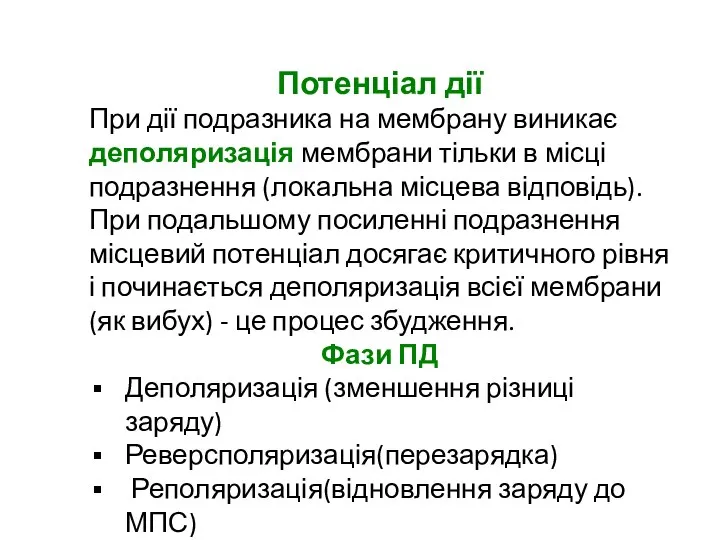 Потенціал дії При дії подразника на мембрану виникає деполяризація мембрани тільки