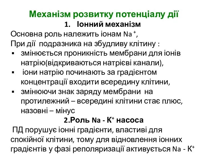 Механізм розвитку потенціалу дії Іонний механізм Основна роль належить іонам Na