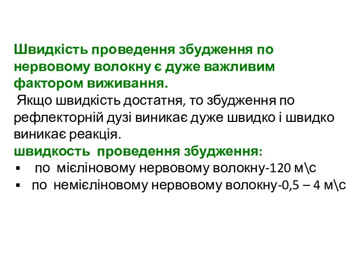 Швидкість проведення збудження по нервовому волокну є дуже важливим фактором виживання.