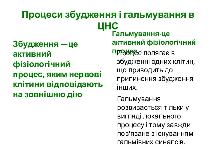 Процеси збудження і гальмування в ЦНС Збудження —це активний фізіологічний процес,