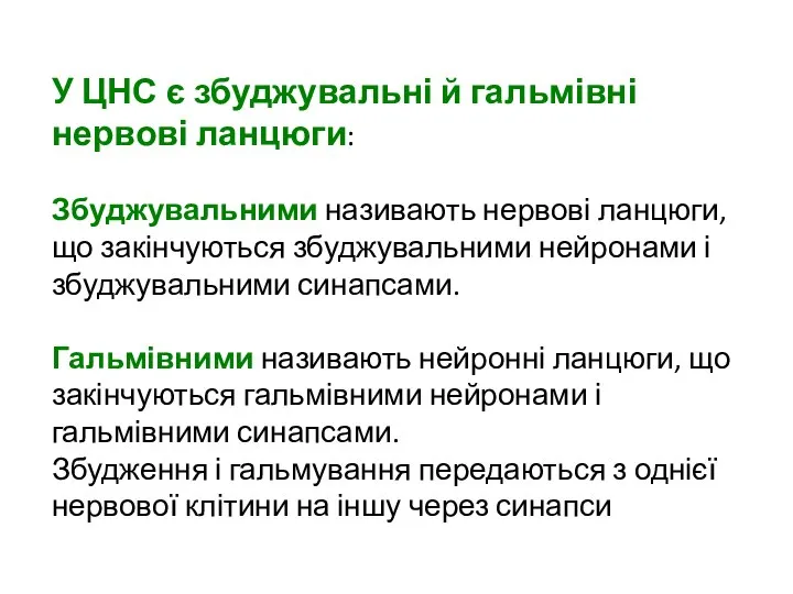 У ЦНС є збуджувальні й гальмівні нервові ланцюги: Збуджувальними називають нервові