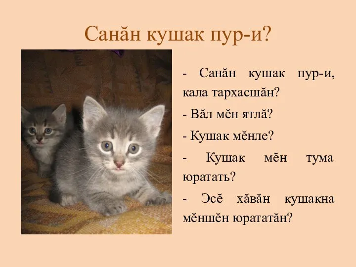 Санăн кушак пур-и? - Санăн кушак пур-и, кала тархасшăн? - Вăл