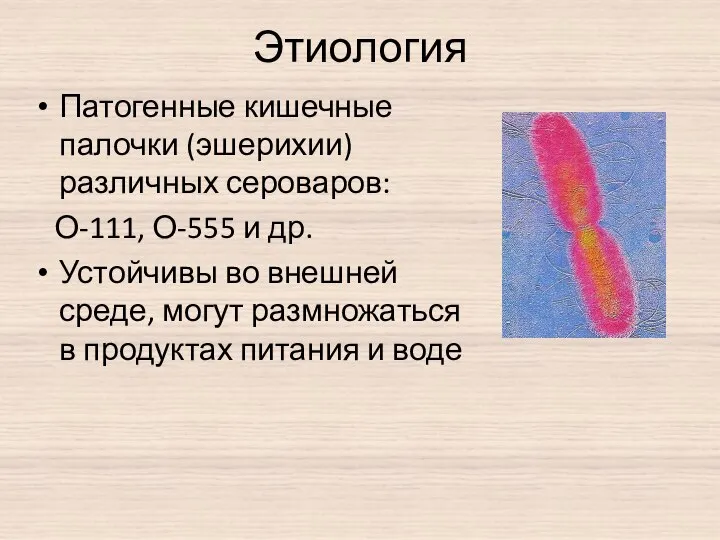 Этиология Патогенные кишечные палочки (эшерихии) различных сероваров: О-111, О-555 и др.