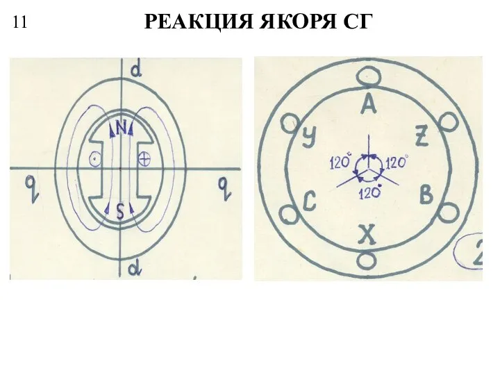 11 РЕАКЦИЯ ЯКОРЯ СГ