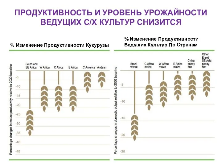 ПРОДУКТИВНОСТЬ И УРОВЕНЬ УРОЖАЙНОСТИ ВЕДУЩИХ С/Х КУЛЬТУР СНИЗИТСЯ % Изменение Продуктивности