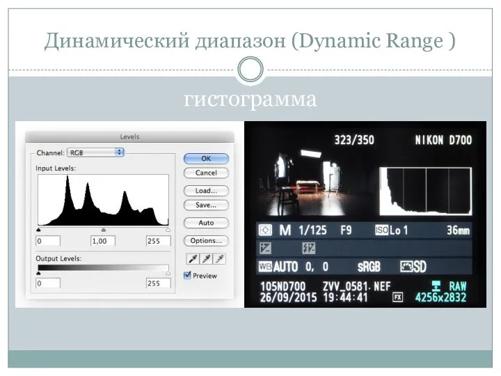 Динамический диапазон (Dynamic Range ) гистограмма