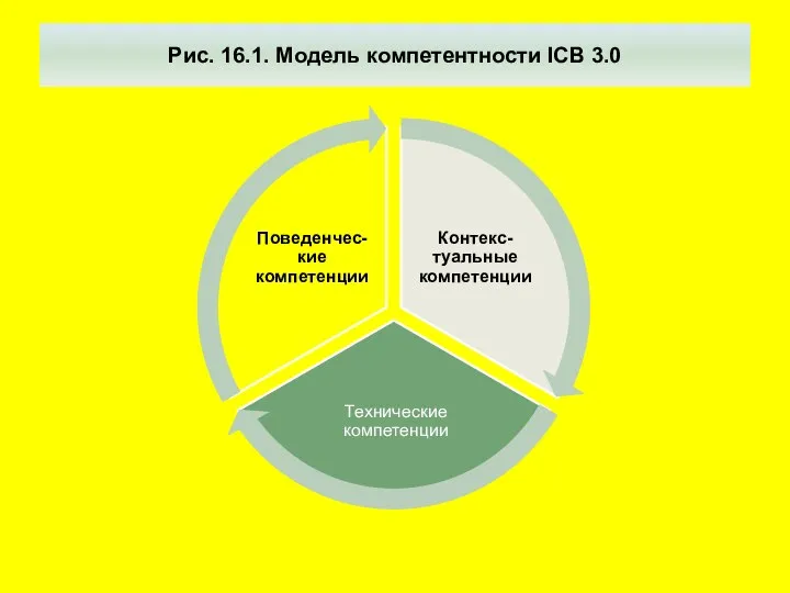 Рис. 16.1. Модель компетентности ICB 3.0