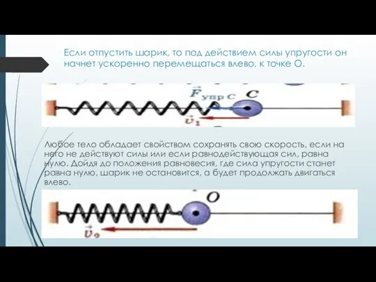 Если отпустить шарик, то под действием силы упругости он начнет ускоренно