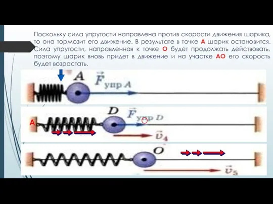 Поскольку сила упругости направлена против скорости движения шарика, то она тормозит