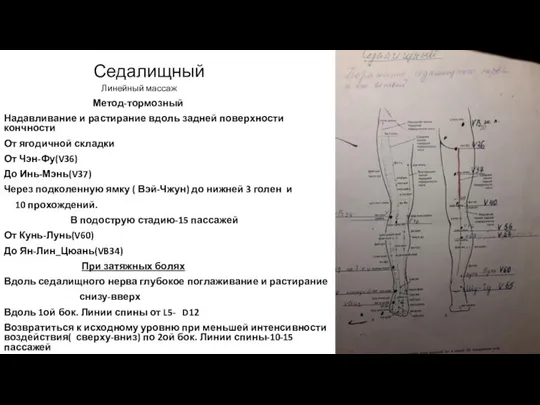 Седалищный Линейный массаж Метод-тормозный Надавливание и растирание вдоль задней поверхности кончности