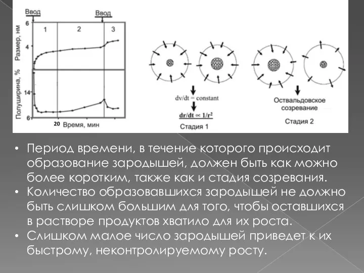 Период времени, в течение которого происходит образование зародышей, должен быть как