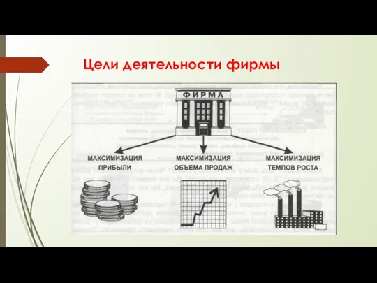 Цели деятельности фирмы