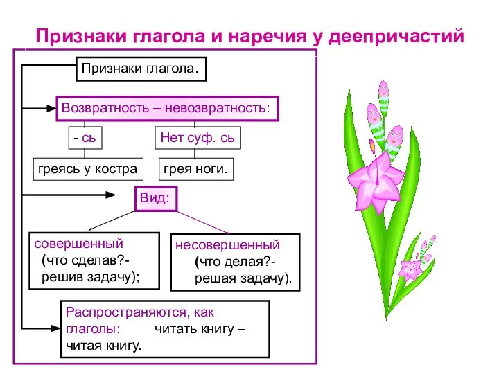 Признаки глагола и наречия у деепричастий Распространяются, как глаголы: читать книгу