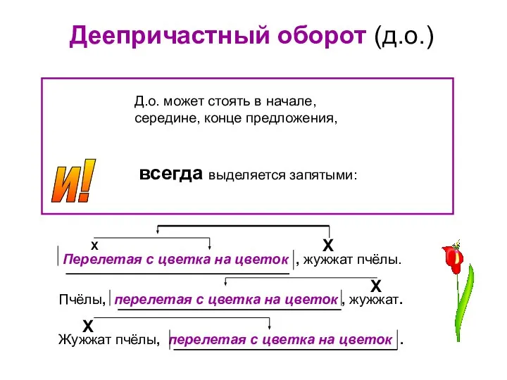 Деепричастный оборот (д.о.) и! Д.о. может стоять в начале, середине, конце