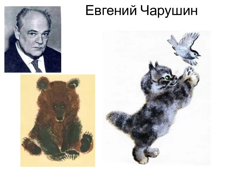 Евгений Чарушин