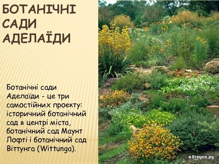 БОТАНІЧНІ САДИ АДЕЛАЇДИ Ботанічні сади Аделаїди - це три самостійних проекту: