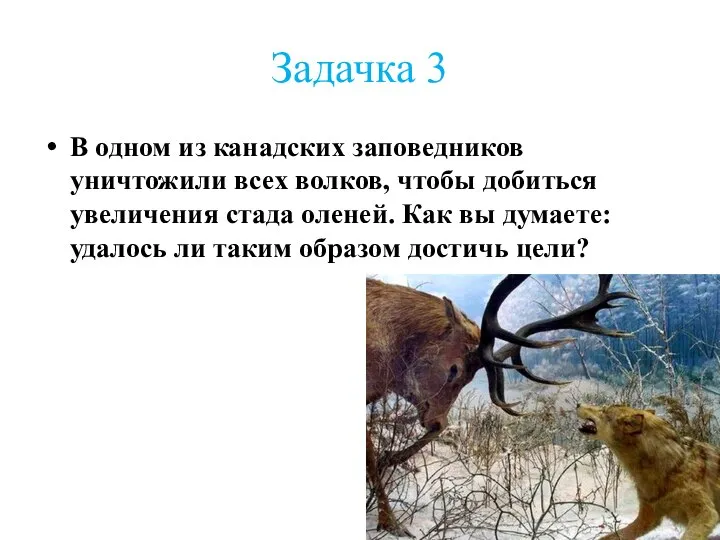 Задачка 3 В одном из канадских заповедников уничтожили всех волков, чтобы