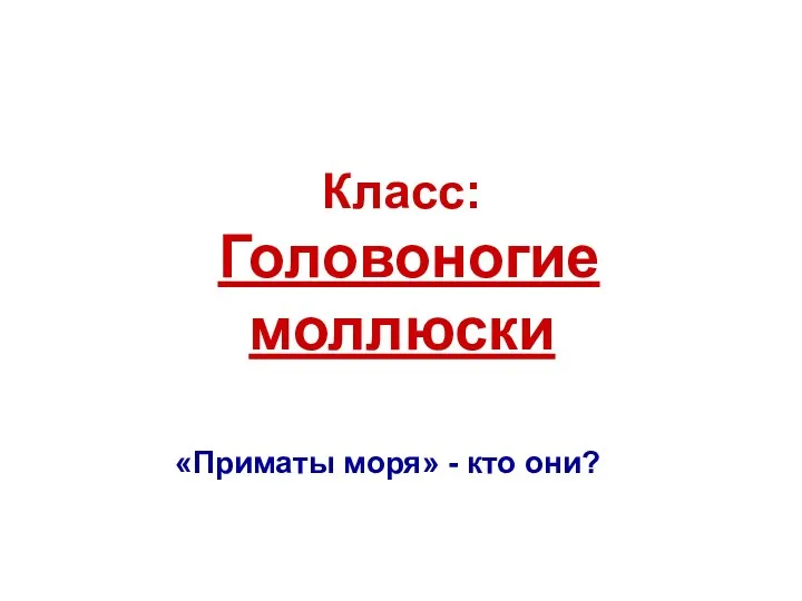 Класс: Головоногие моллюски «Приматы моря» - кто они?