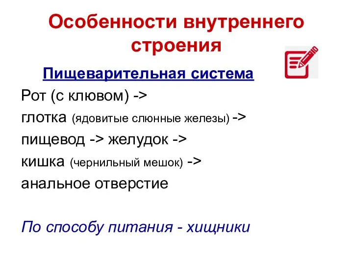 Особенности внутреннего строения Пищеварительная система Рот (с клювом) -> глотка (ядовитые