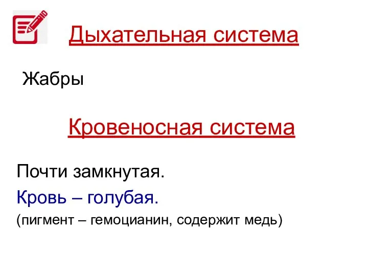 Дыхательная система Жабры Кровеносная система Почти замкнутая. Кровь – голубая. (пигмент – гемоцианин, содержит медь)