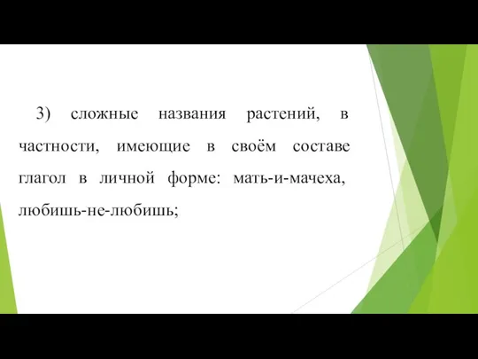 3) сложные названия растений, в частности, имеющие в своём составе глагол в личной форме: мать-и-мачеха, любишь-не-любишь;