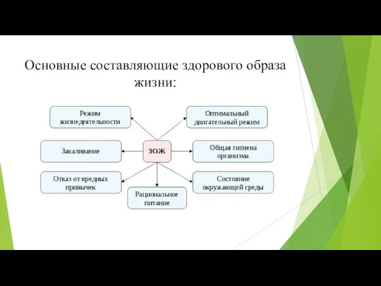 Основные составляющие здорового образа жизни: