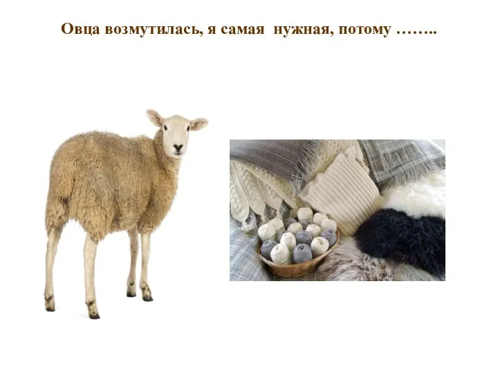 Овца возмутилась, я самая нужная, потому ……..